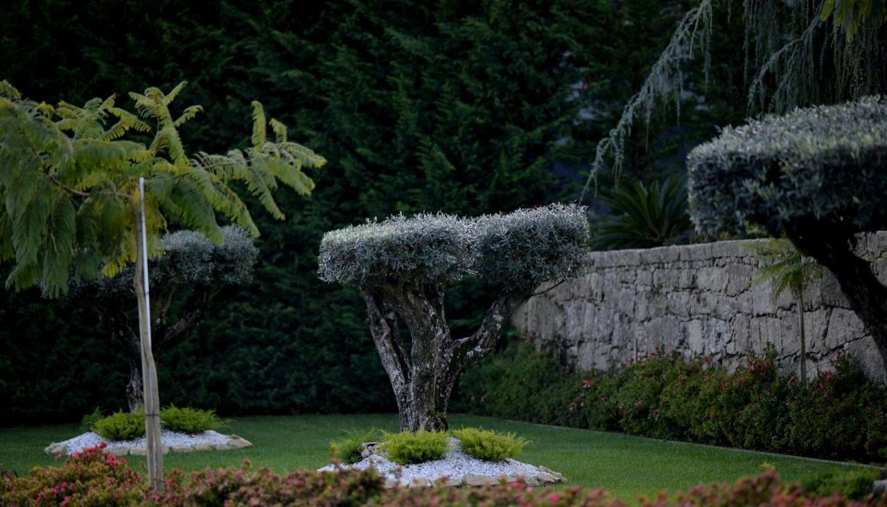 Casa Das Carpas Vizela Zewnętrze zdjęcie